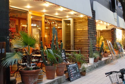 FISH IN THE FOREST 〜TOOTH TOOTH x そら植物園〜 メニューイメージ