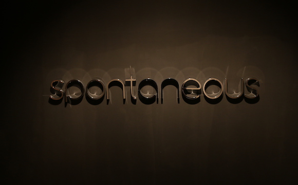 spontaneous 外観