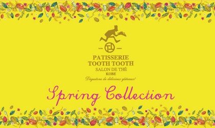 2019 Spring Collection<br><br>／PATISSERIE TOOTH TOOTH