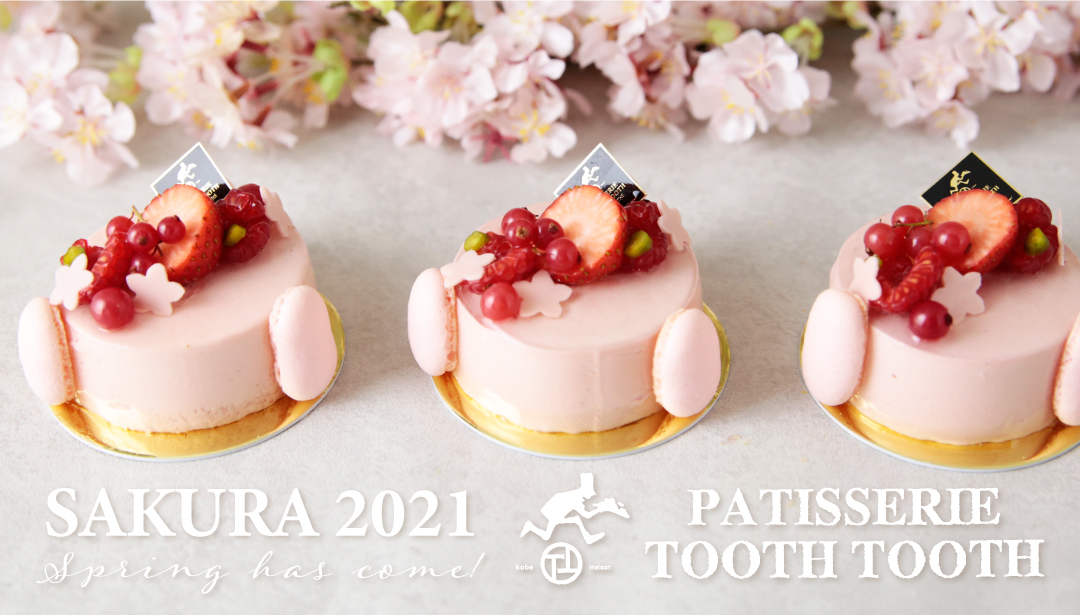 スイーツで楽しむ お花見 しましょ 春色の桜スイーツが新登場 Patisserie Tooth Tooth News Potomak Co Ltd